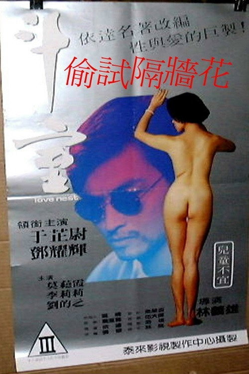 偷试隔墙花 封面