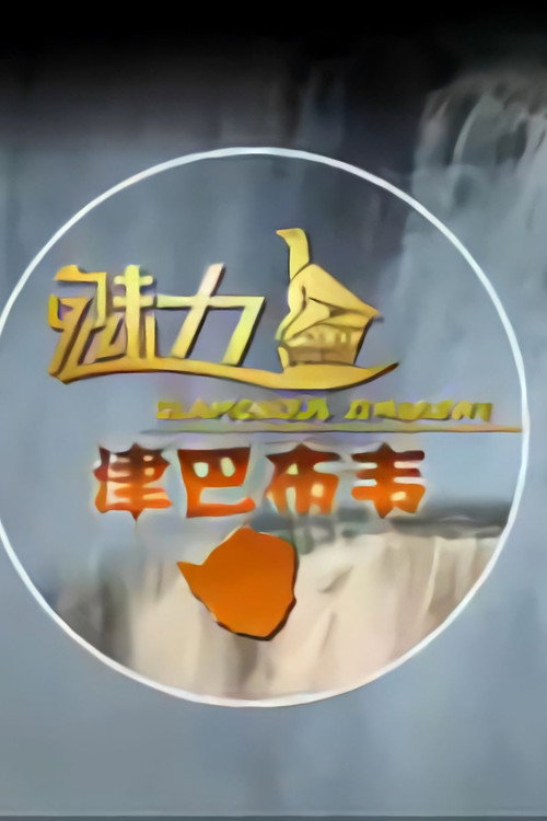 魅力津巴布韦 封面
