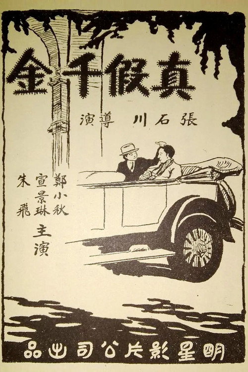 真假千金 封面