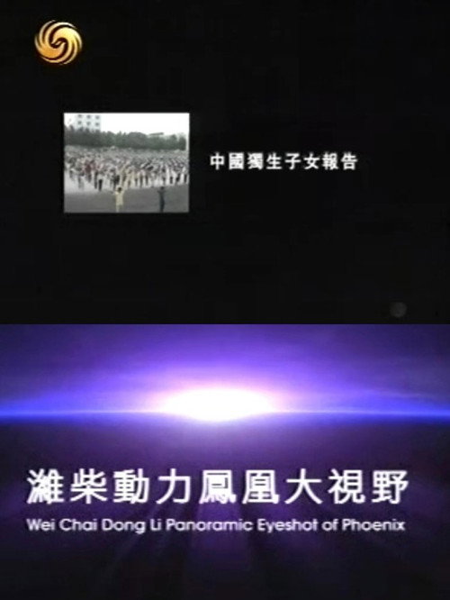凤凰大视野：中国独生子女报告 封面