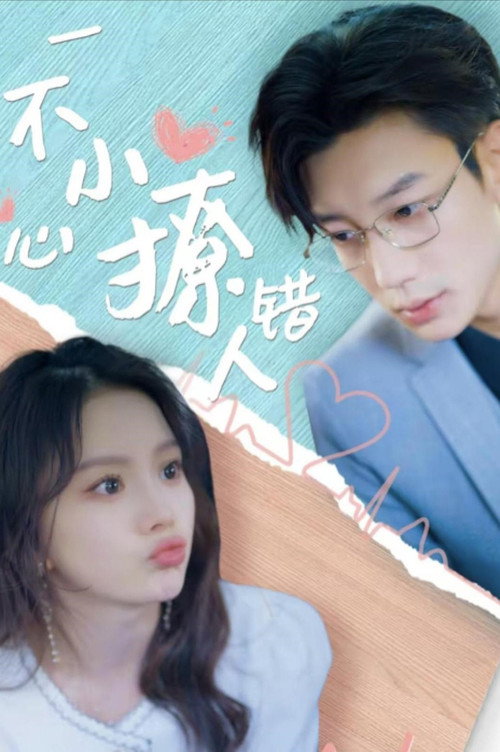 一不小心撩错人 封面