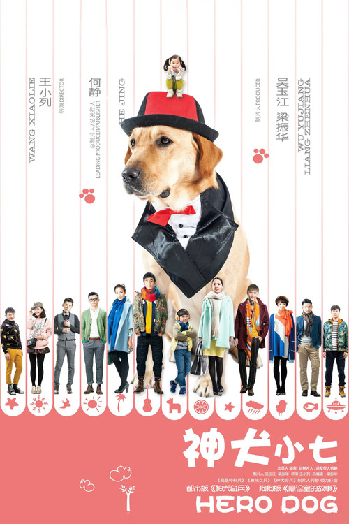 神犬小七 封面