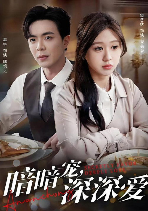 暗暗宠，深深爱 封面