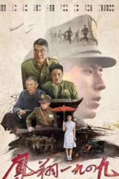 凤翔1949 封面
