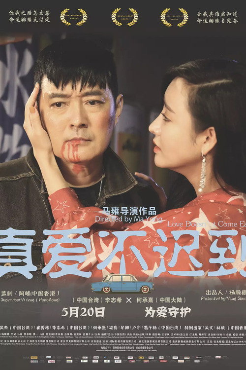 真爱不迟到 封面