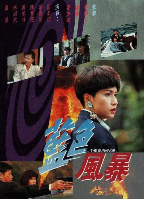 蓝色风暴 封面