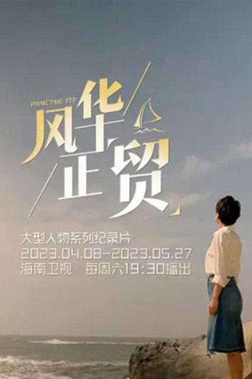 风华正贸 封面