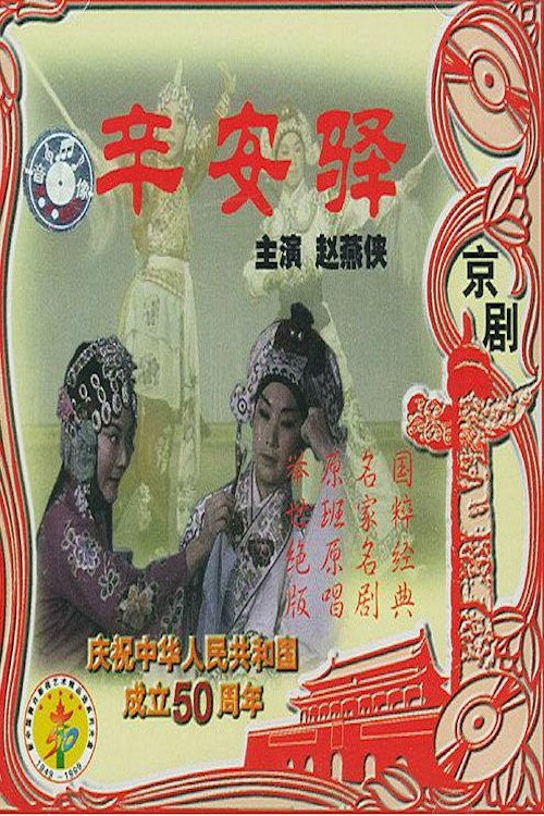 辛安驿 封面