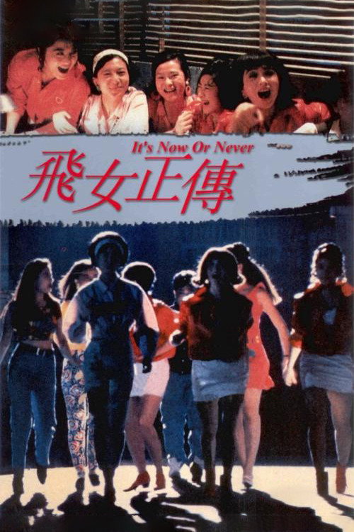 飞女正传 封面