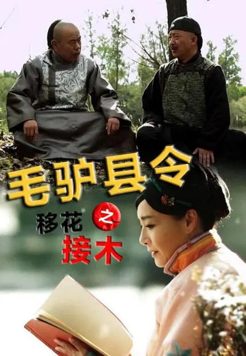 毛驴县令之移花接木 封面
