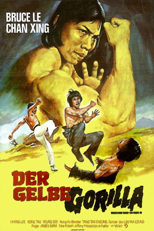 Bruce and Shaolin Kung Fu 封面