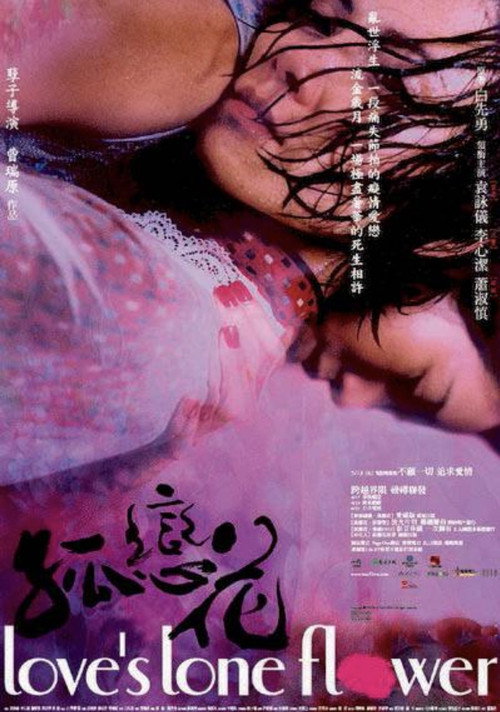 孤恋花 封面