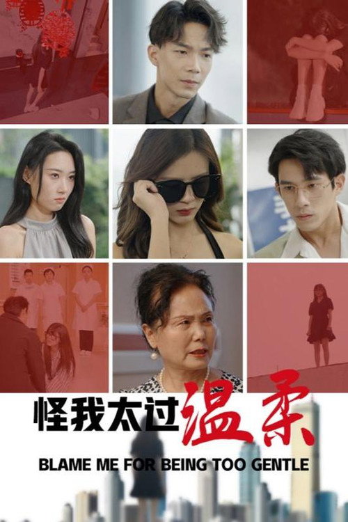 怪我太过温柔 封面
