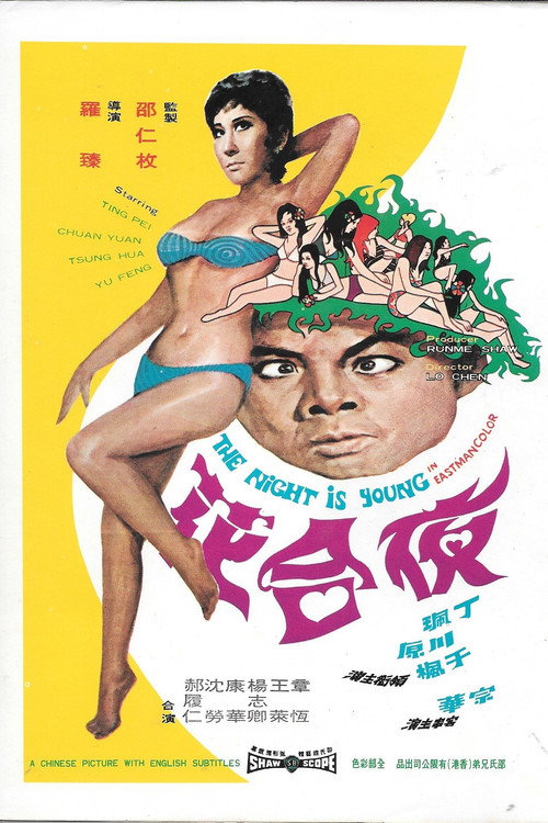 夜合花 封面