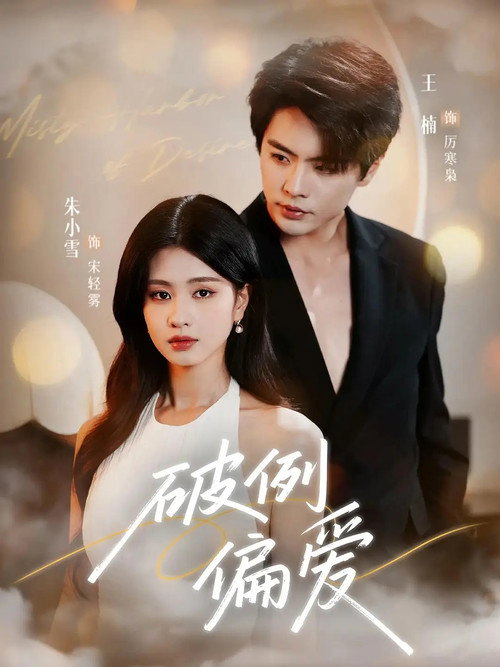 破例偏爱 封面