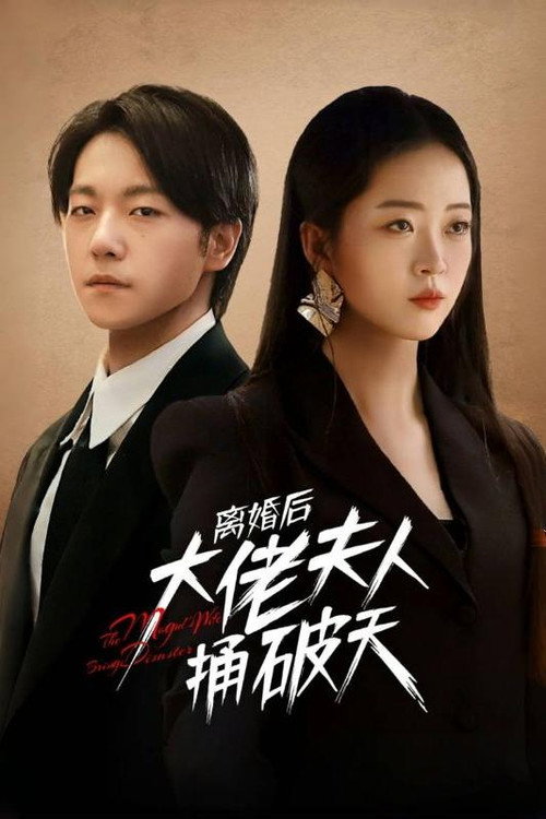 离婚后大佬夫人捅破天 封面