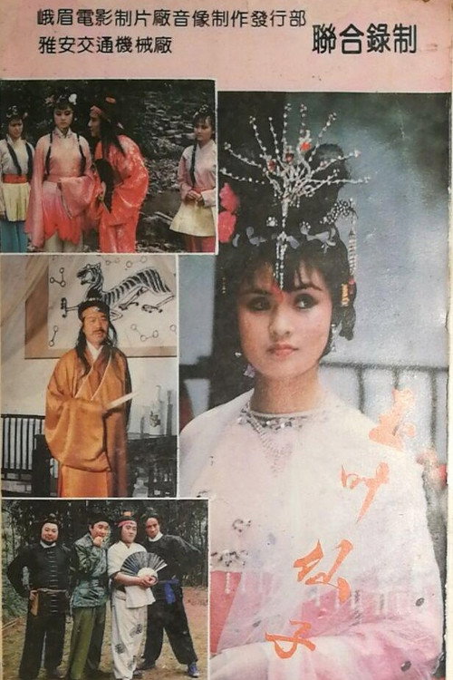 玉叶仙子 封面