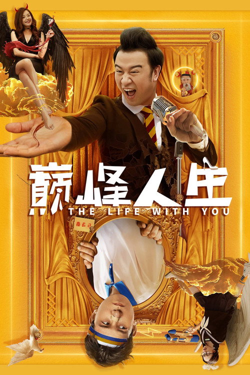 巅峰人生 封面