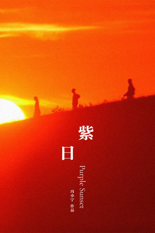 紫日 封面