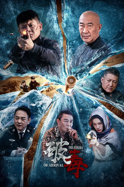 破毒 封面