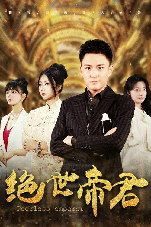 绝世帝君 封面