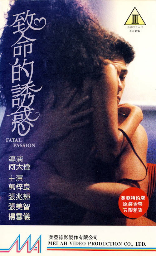 致命的诱惑 封面
