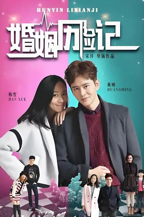 婚姻历险记 封面
