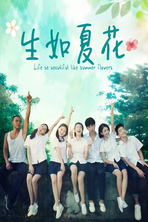 生如夏花 封面
