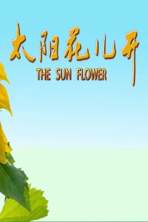 太阳花儿开 封面