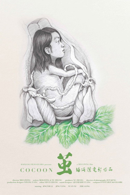 茧 封面