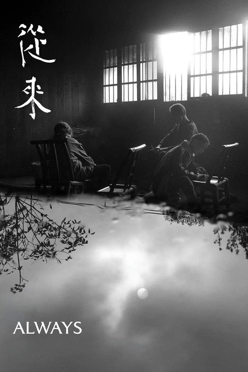 从来 封面