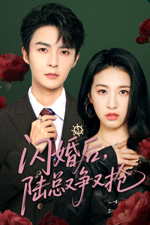 闪婚后陆总又争又抢 封面