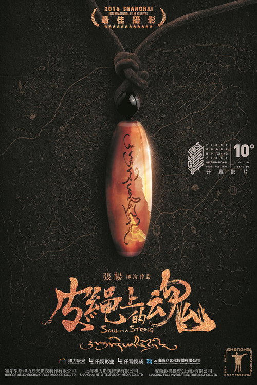 皮绳上的魂 封面