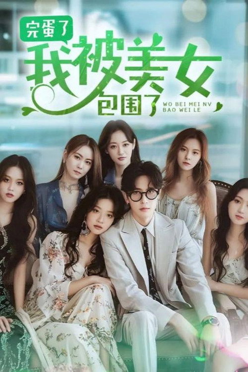 完蛋了,我被七个女神逼婚了 封面