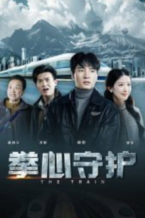 拳心守护 封面