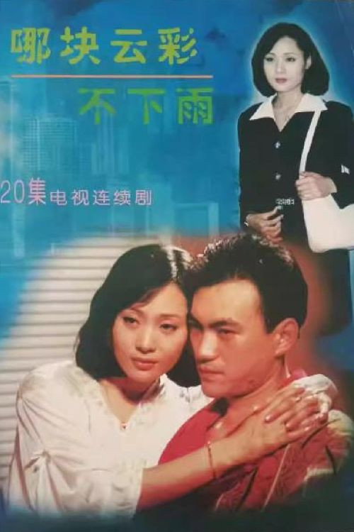 哪块云彩不下雨 封面