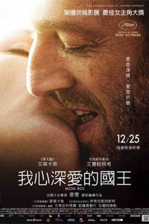 我的国王 封面