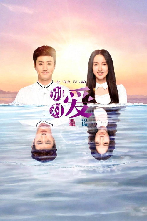 请对我说谎 封面
