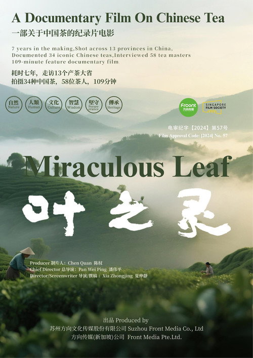 叶之灵 封面
