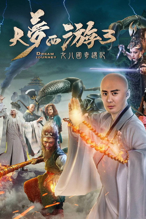 大梦西游3女儿国奇遇记 封面