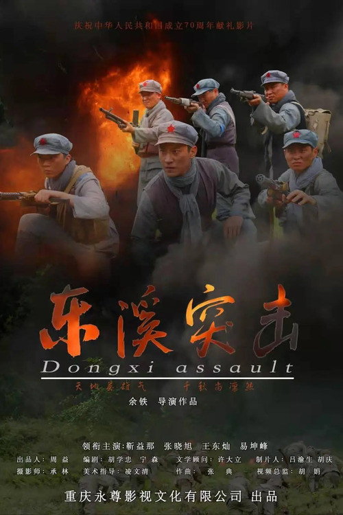 东溪突击 封面