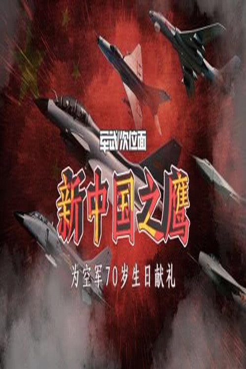 新中国之鹰 封面