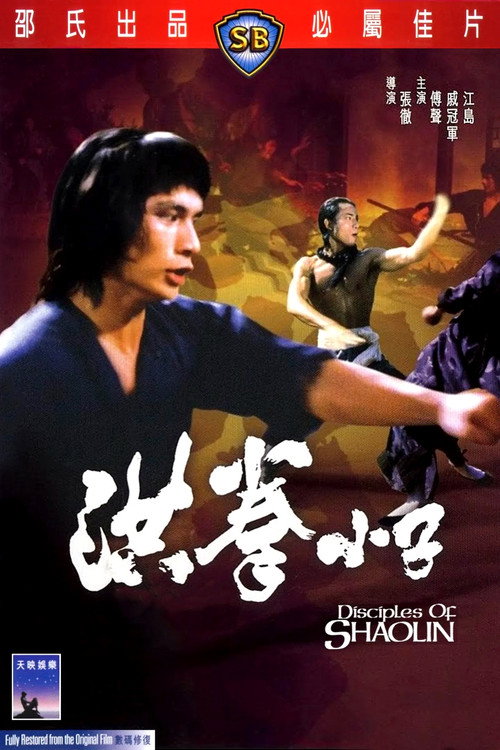 洪拳小子 封面