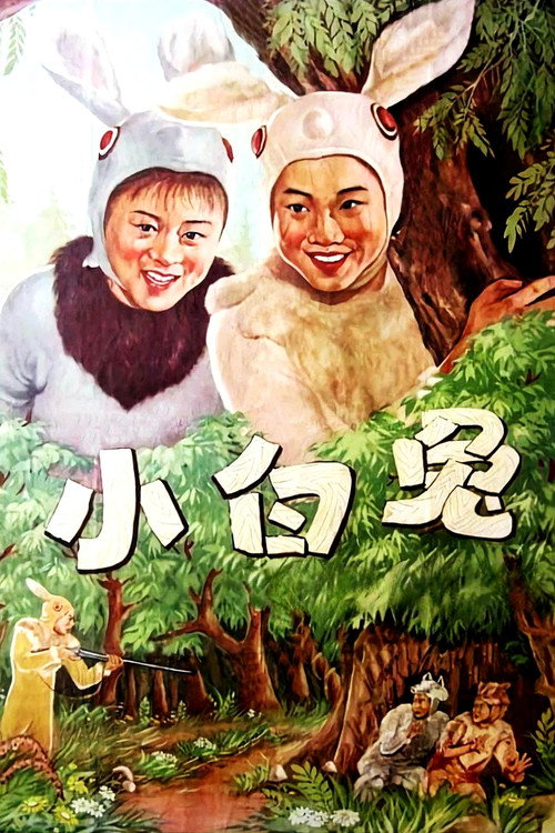 小白兔 封面