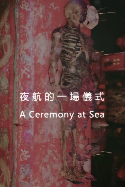 夜航的一場儀式 封面