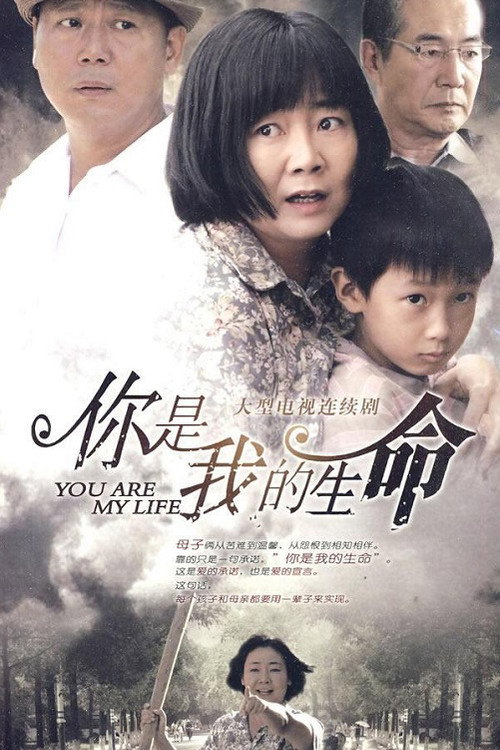 你是我的生命 封面