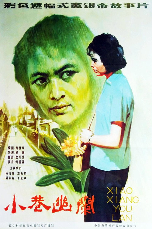 小巷幽兰 封面