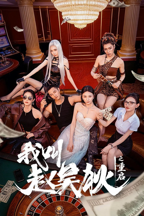 我叫赵吴狄之重启 封面