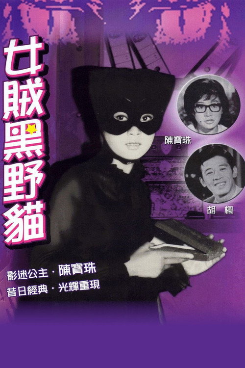 女賊黑野貓 封面