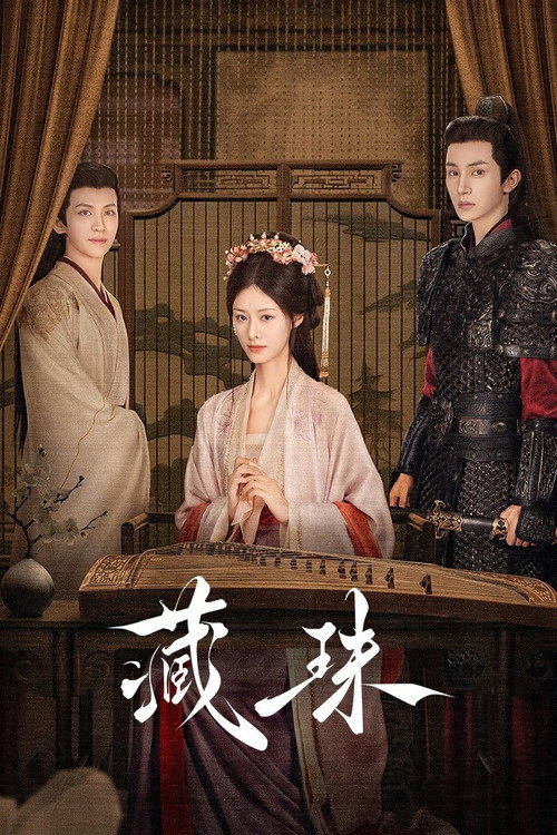 藏珠 封面